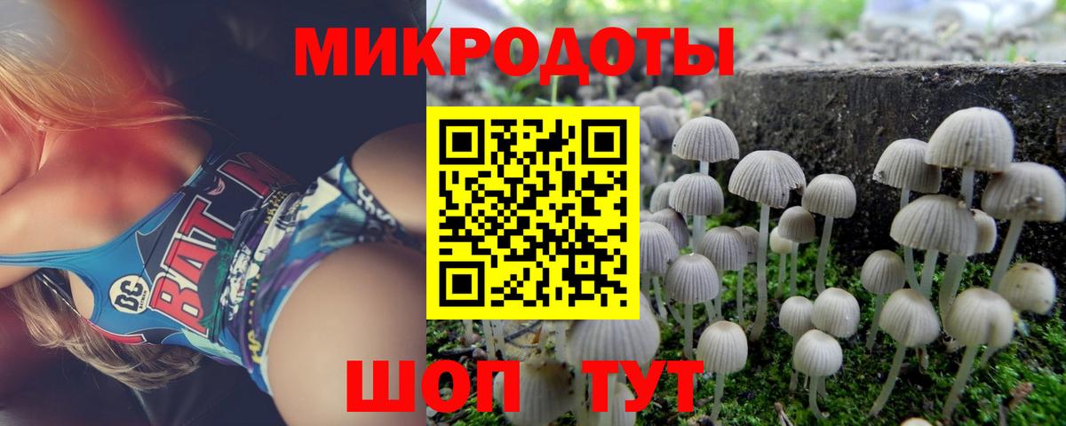 Псилоцибиновые грибы Psilocybine cubensis  Вход с VPN  Тимашёвск 